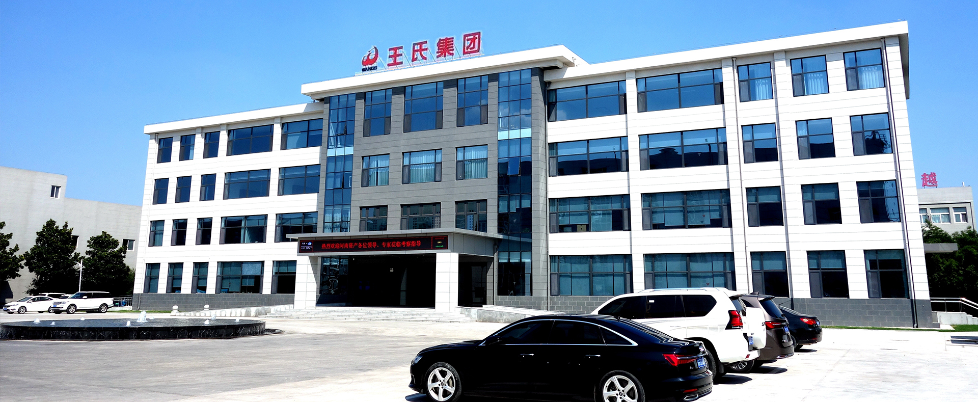 新乡王氏集团有限公司