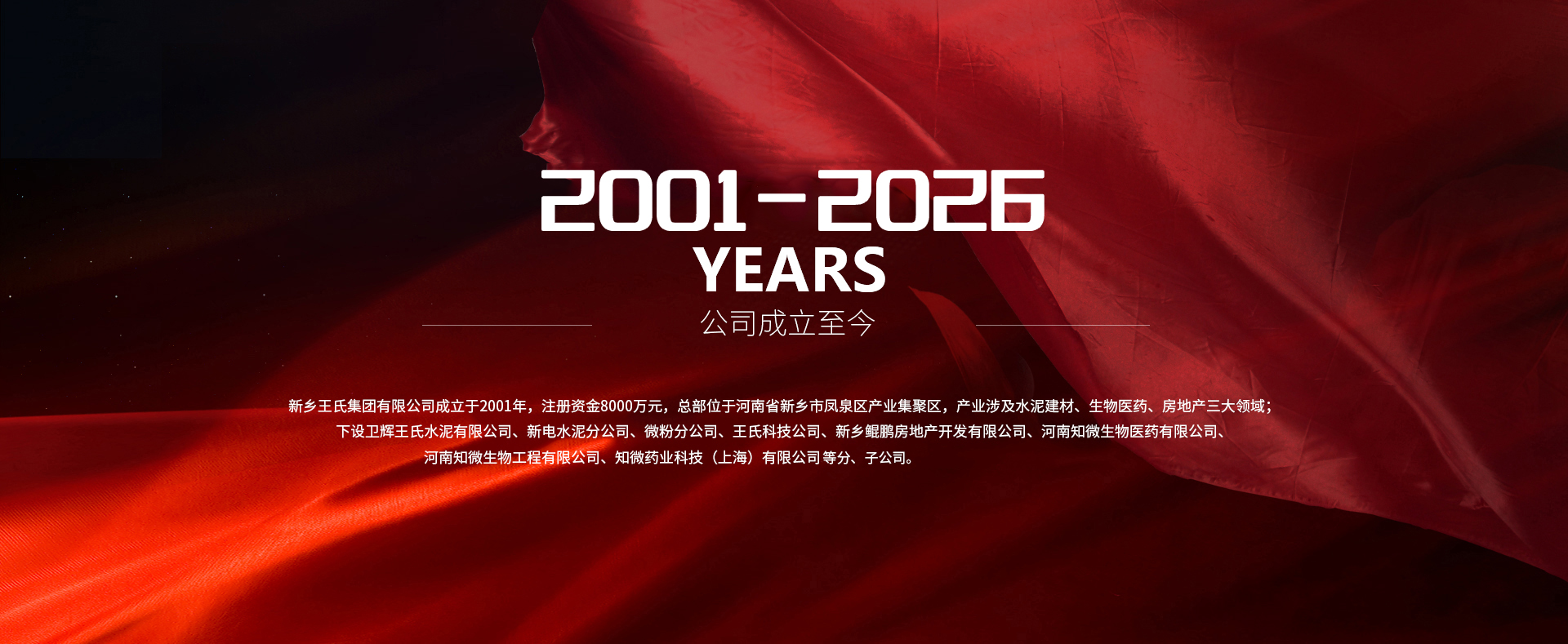 新乡王氏集团有限公司